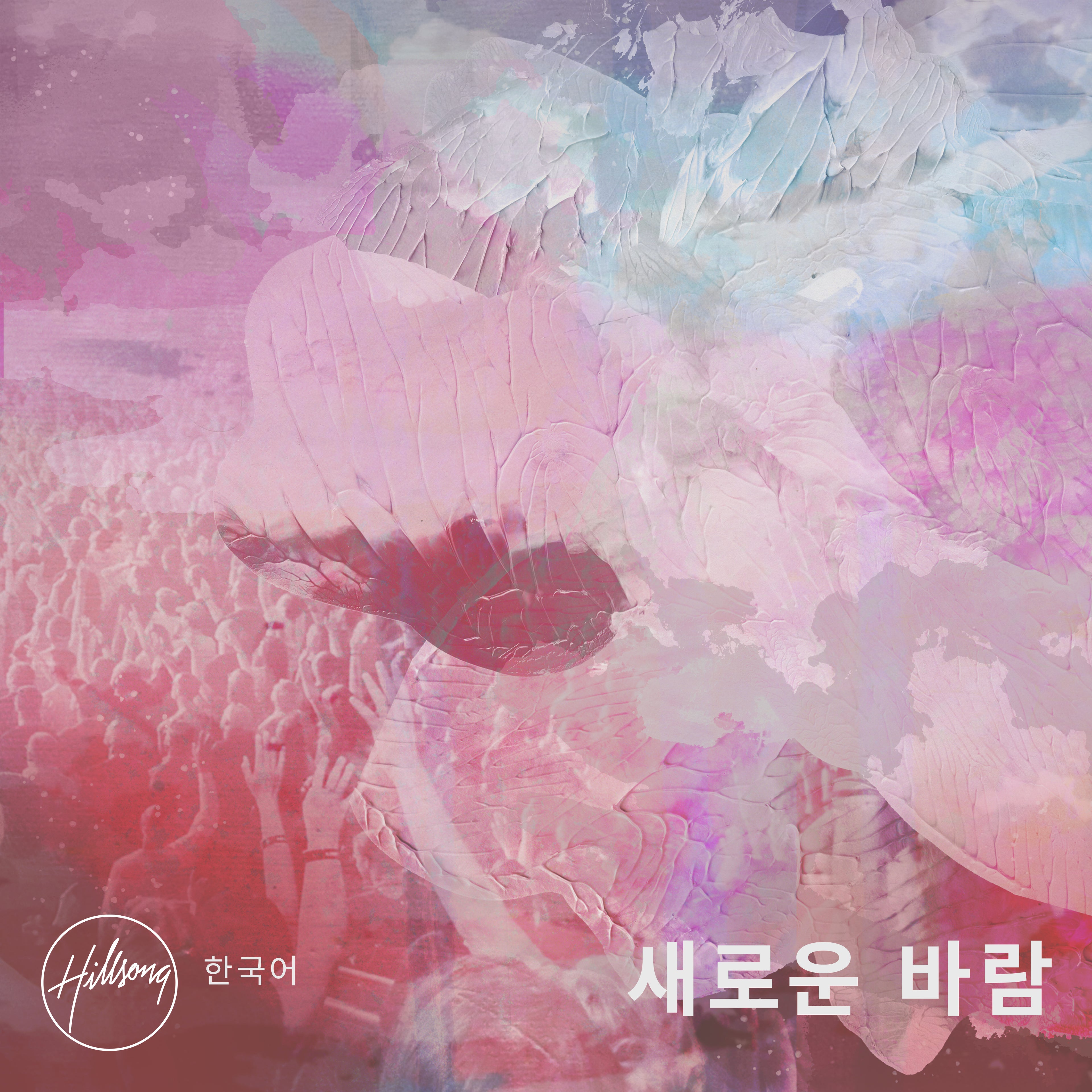 새로운 바람 Digital Audio