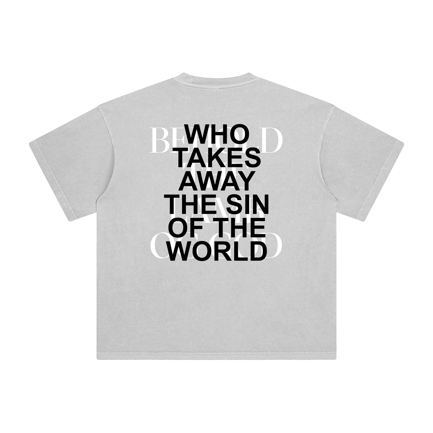 "Behold" Enzyme Washed T-Shirt