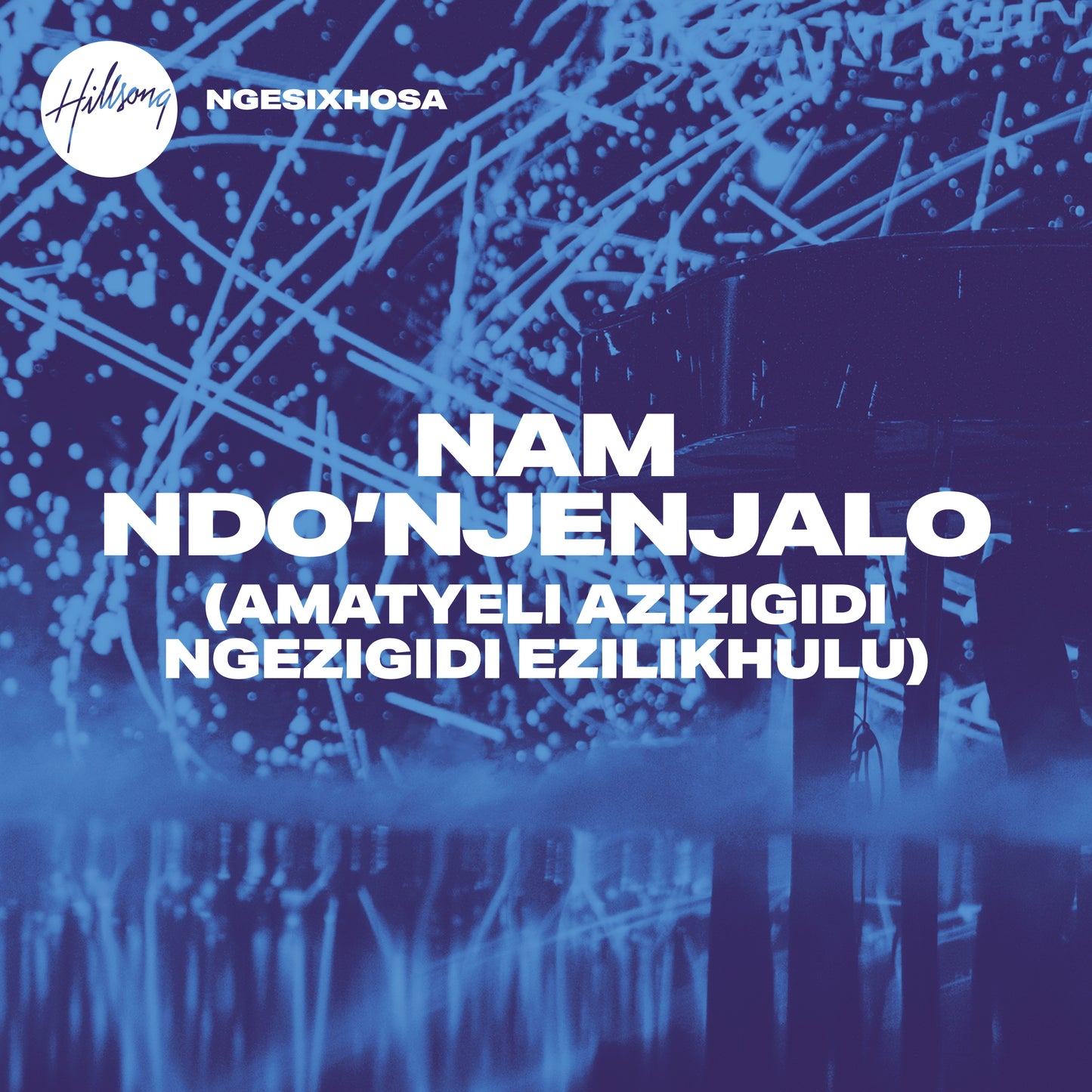 Nam Ndo'njenjalo (Amatyeli Azizigidi Ngezigidi Ezilikhulu) - Single