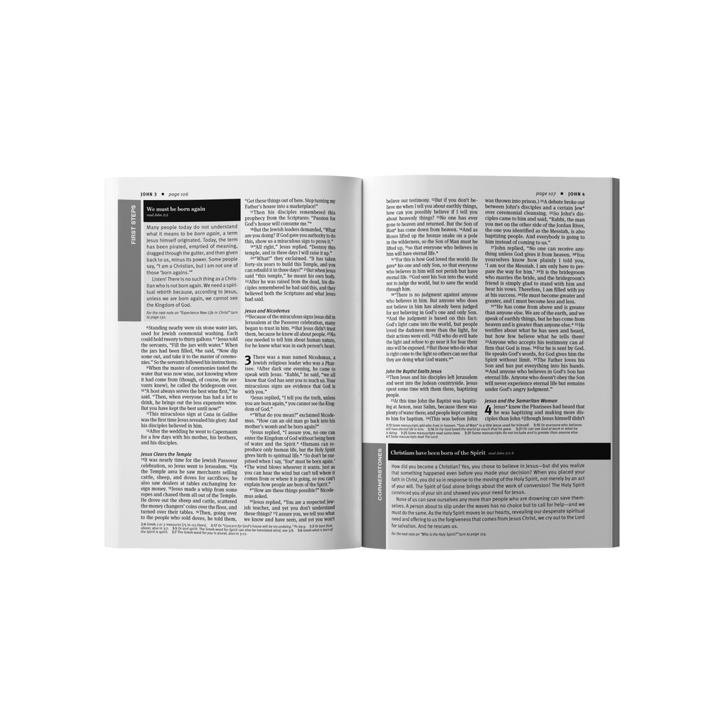 The Word Holy Bible New Testament (Updated Version)