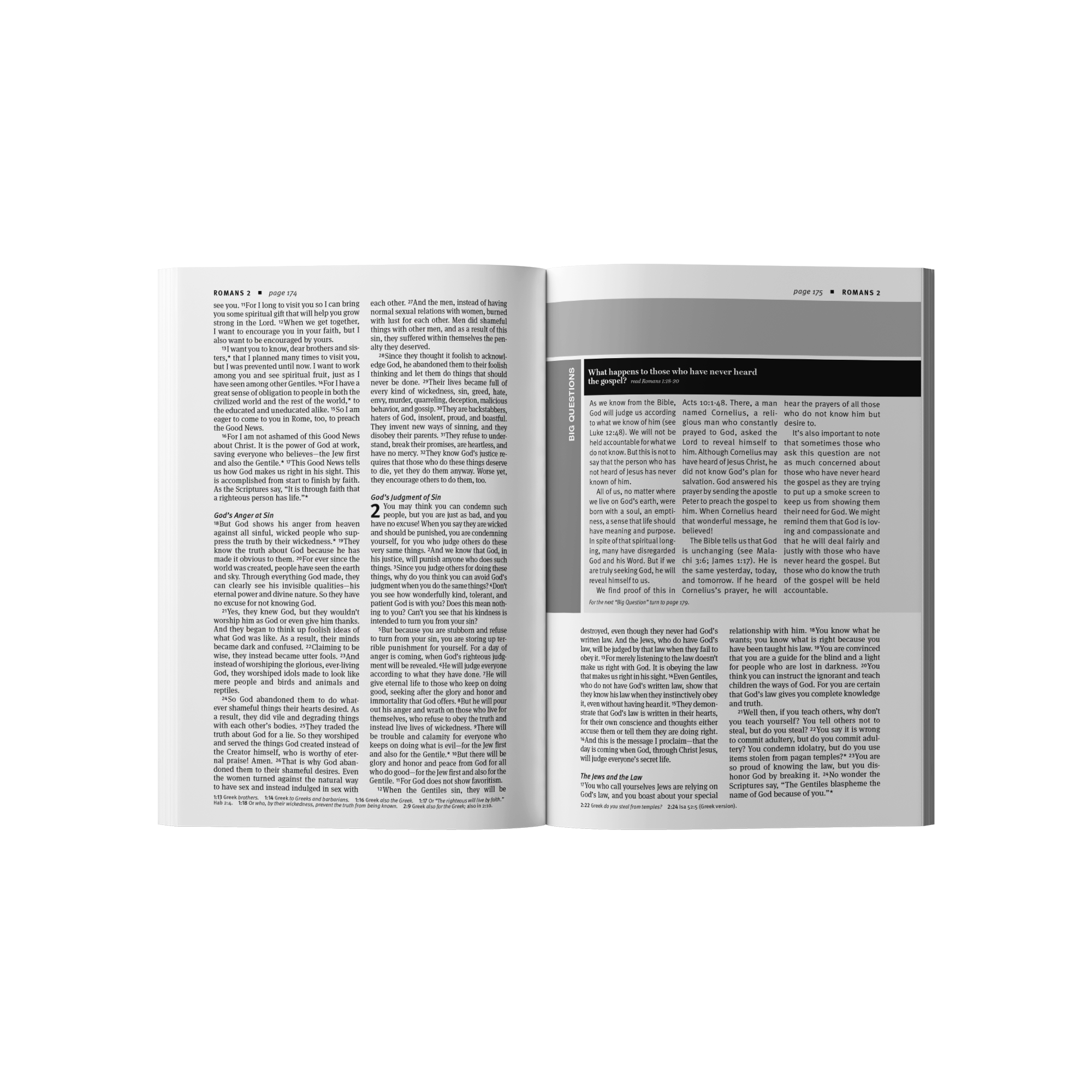 The Word Holy Bible New Testament (Updated Version)