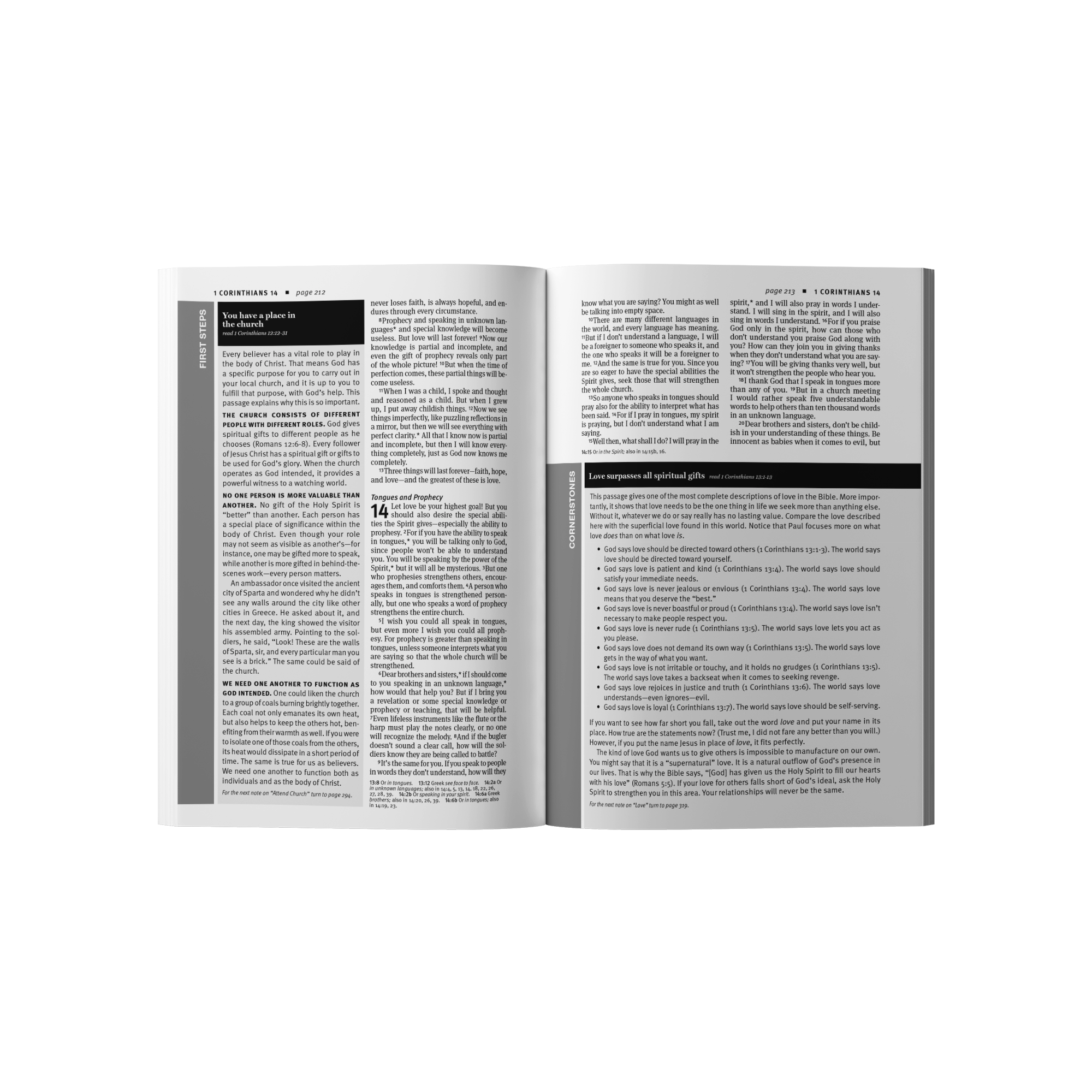 The Word Holy Bible New Testament (Updated Version)