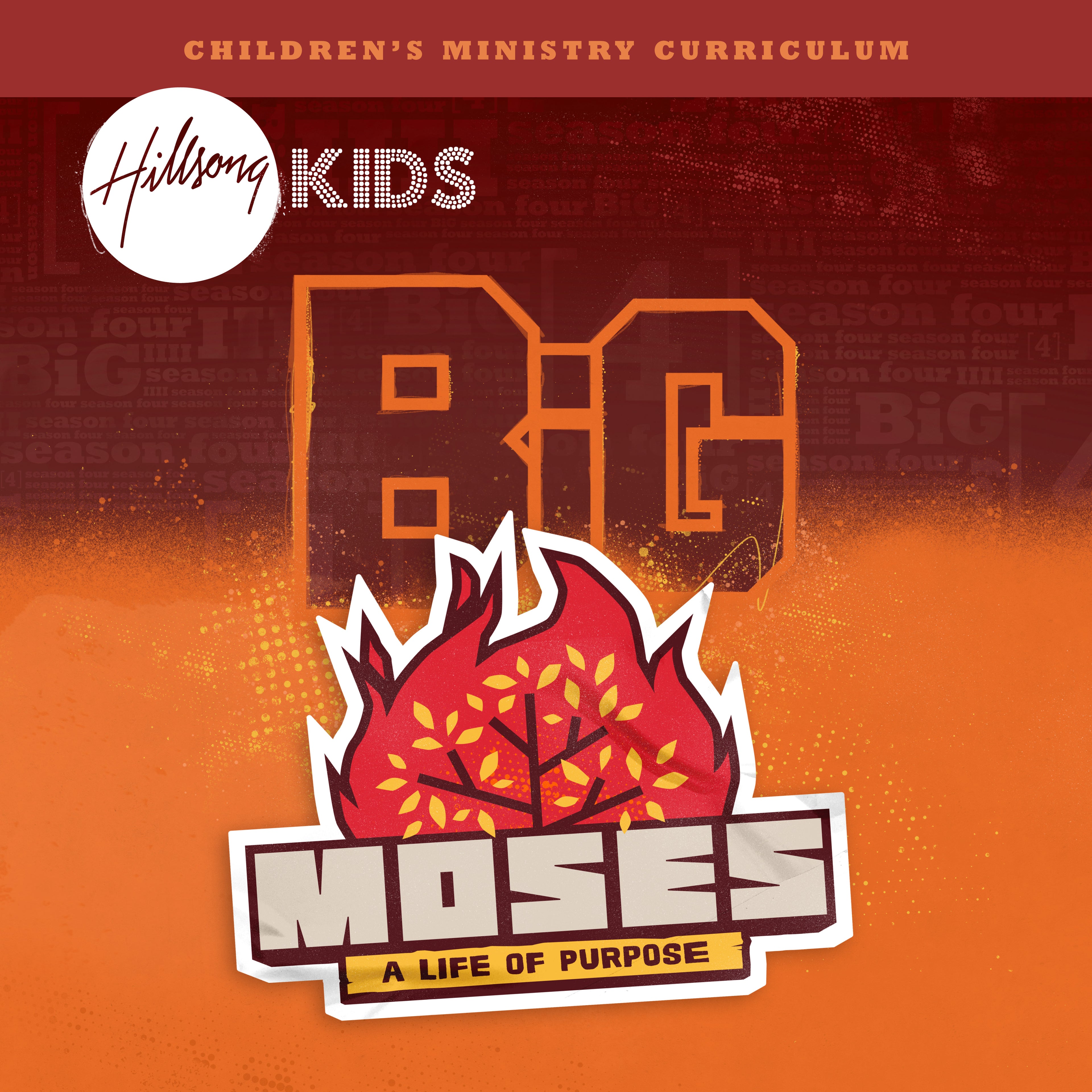 BiG Moses - A Life Of Purpose Curriculum