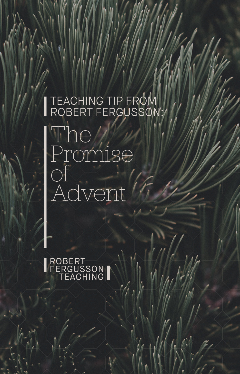 The Promise of Advent