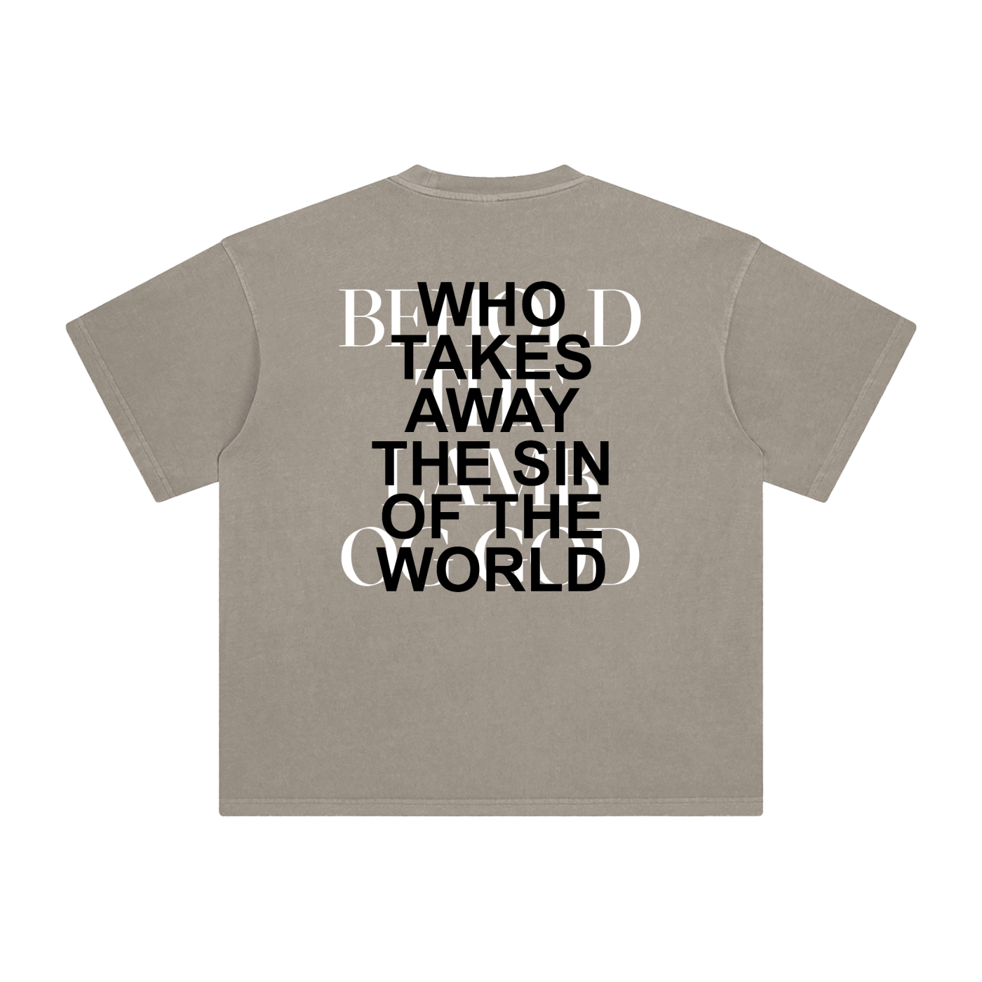 "Behold" Enzyme Washed T-Shirt