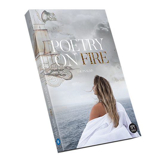 TPT Poetry On Fire