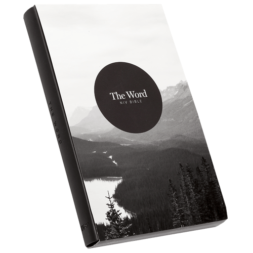 The Word NIV Bible